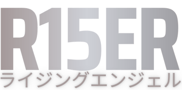 a motorcycle chain linkage with the words riser on it