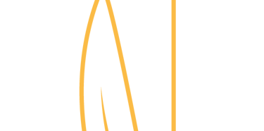 tige de la fleur jaune