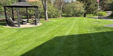 Lawn Care Fox Chapel, PA