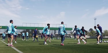 Flamengo treinou na Argentina, após jogo contra Estudiantes, para se preparar para o Brasileirão.