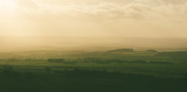 Sunlight lighting up green country fields