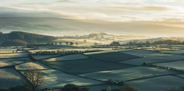 frosty countryside fields being illuminated by warm morning sun