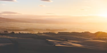 a contrasty and frosty lanscape being illuminated by a golden sunrise