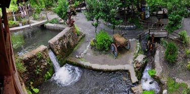 Sapanca & Masukiye