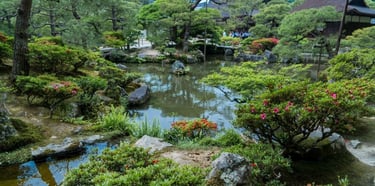 Japan’s five historic capitals tour: Kamakura, Hakone, Mt. Fuji, Nara, Kyoto, and Osaka.