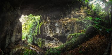 Discover glowing worms and stunning limestone caves.