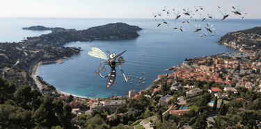Villefranche-sur-mer et Saint Jean Cap Ferrat