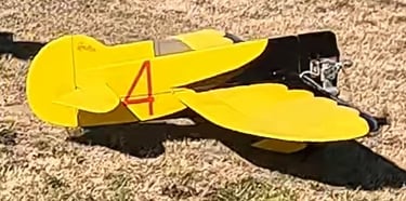 Dave S Gee Bee (Maiden)