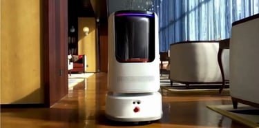 An image of our robot at work in a hotel