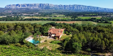 a house with a pool and a pool in the middle of a vineyard