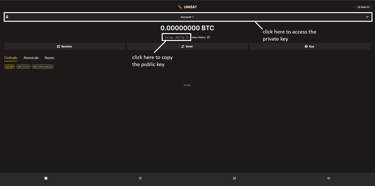 Unisat Bitcoin wallet balance
