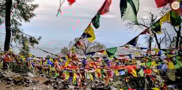 Colorful prayer flags along the Triund trekking route, McLeod Ganj, Dharamshala.