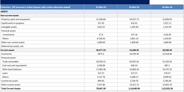 assets_ balance sheet_ olectra greentech business analysis