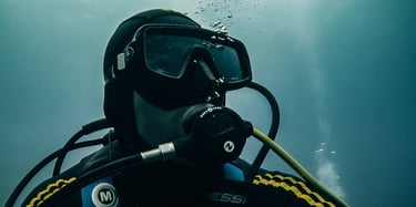 a person in a scuba suit and goggles in the water