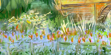 Solar bed tulipa display Spring 2025 - digital drawing