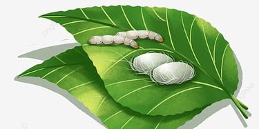 ipek böceği ve ipek