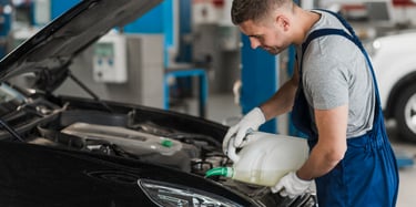 Guincho Florianopolis