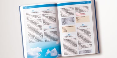 Diagramação do livro, progeto gráfico