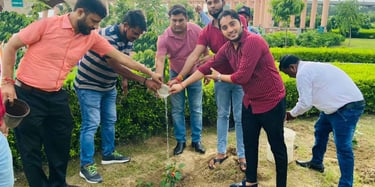 Best tree plantation agency in Noida