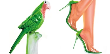 a parrot perched on a pole with a woman's legs