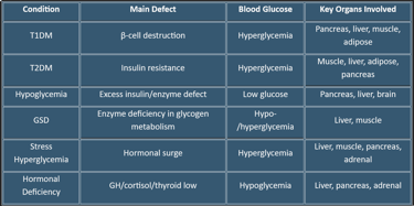 glucose-regulation_organ_effect