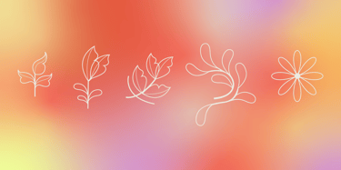 a bunch of flowers on a blurry background