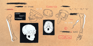 rough anatomical painting on wooden board with text redactions the human skull and intestines and comptuer interface