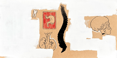 Rough painting of human anatomy including a skull a spine the stomach the kidneys and a tooth