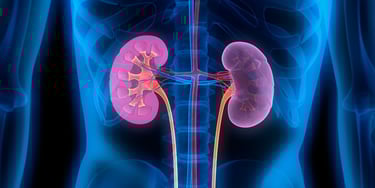 vascular ultrasound renal artery stenosis high blood pressure stent kidney disease function diabetes fibromuscular dysplasia