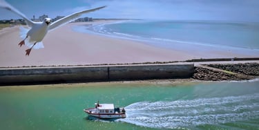 Drone yoann martineau à St gilles croix de vie Goelands
