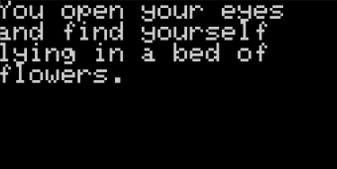 Arduboy Shadows and Eternity Bed of Flowers
