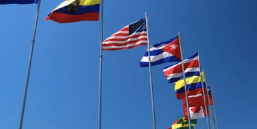 Servicio para importadores