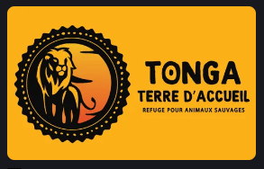 Logo Association Tonga