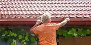 nettoyage gouttière 