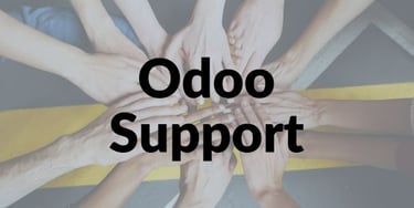 odoo erp support services in pakistan