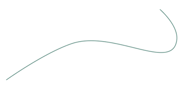 Vingiuota linija - dizaino elementas