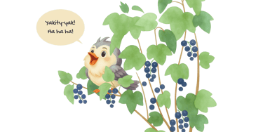 Image of RayPete the cartoon mockingbird laughing in a berry bush