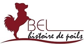 BEL histoire de poils
