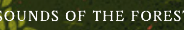 Sounds of the forest logo