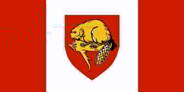 Brantford flag, approved design