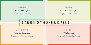 Strengths Profile schematic