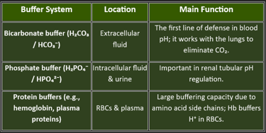 buffer system