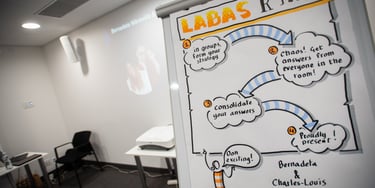 LeaderHub Akademija - interaktyvūs mokymai komandoms ir lyderiams