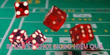 Bí quyết tham gia sicbo theo cầu bệt tại VN500