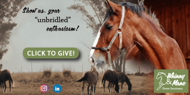 Facebook post featuring a large brown horse in the foreground. In the background, several horses graze in an open field.