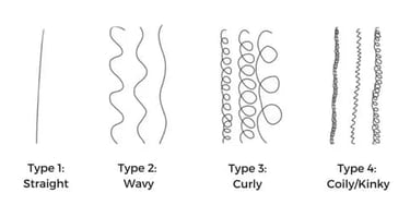 The moderately thick medulla helps the hair hold its shape while staying soft rather than stiff.