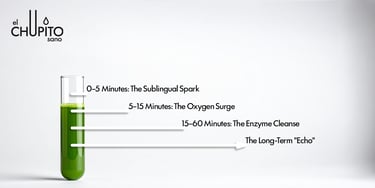 A green wellness shot infographic detailing sublingual spark, oxygen surge, and enzyme cleanse benefits.