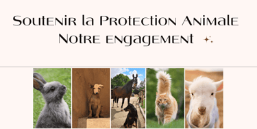 protection animale chien chat chevaux lapin adoption