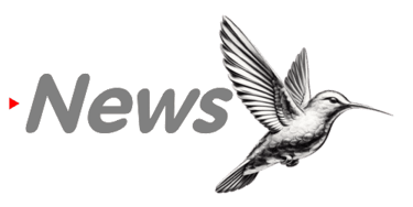 aisp-news