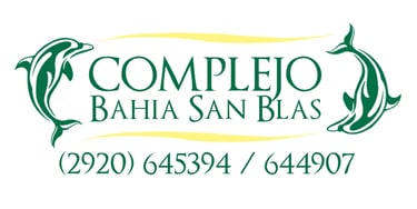 MARIBEL GRAN PARTICIPANTE DEL TALLER DE ESCULTURA RECICLADA CREANDO ARTE CON MATERIALES RECICLADOS